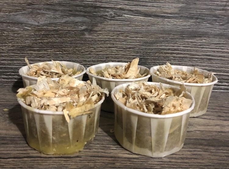 Beeswax Firestarters